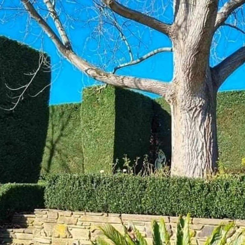 Prime Gardens | Landscaping & Gardening Services Eastern and Surrounding Suburbs Melbourne project 7