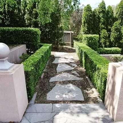 Prime Gardens | Landscaping & Gardening Services Eastern and Surrounding Suburbs Melbourne project 8