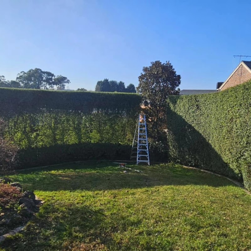 Prime Gardens | Landscaping & Gardening Services Eastern and Surrounding Suburbs Melbourne project 9