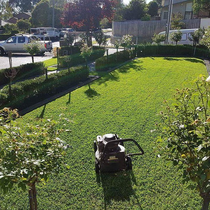 Prime Gardens | Landscaping & Gardening Services Eastern and Surrounding Suburbs Melbourne project 10