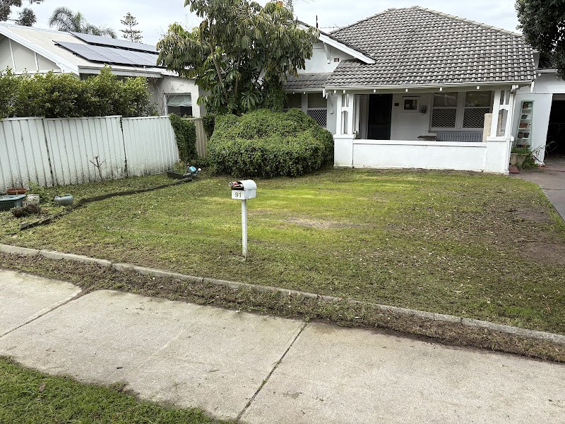 Pro Care Lawns & Gardens project 5