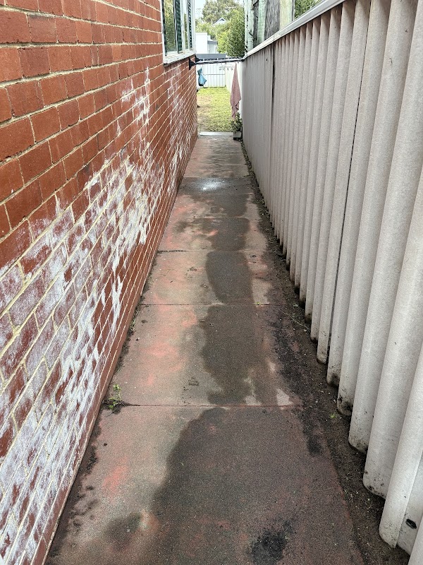 Pro Care Lawns & Gardens project 7