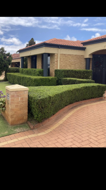 Pro Care Lawns & Gardens project 8