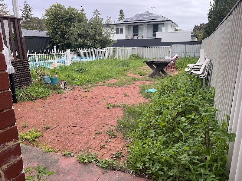 Pro Care Lawns & Gardens project 10