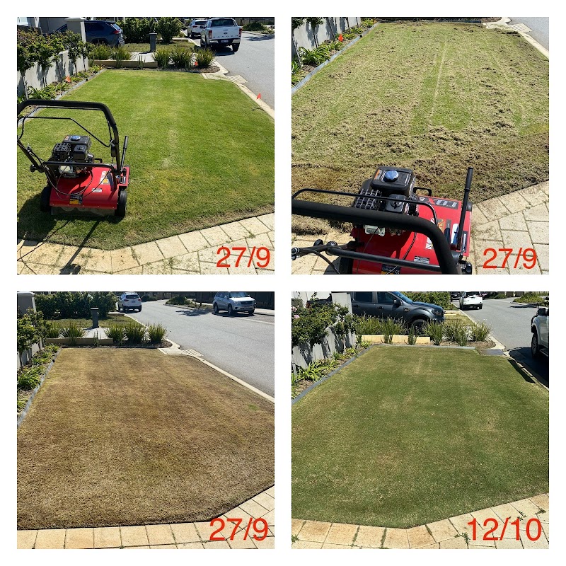 Pro Cut Turf Care photo 1