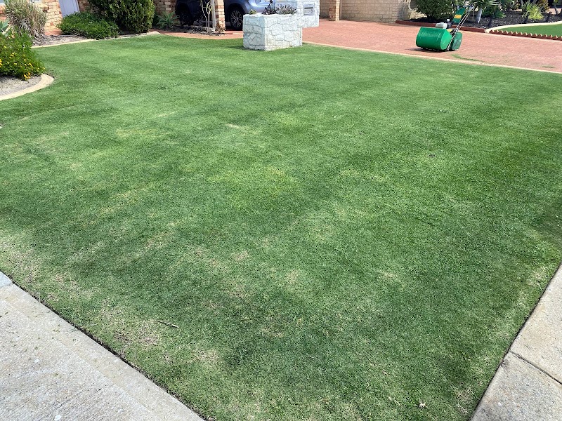 Pro Cut Turf Care photo 2