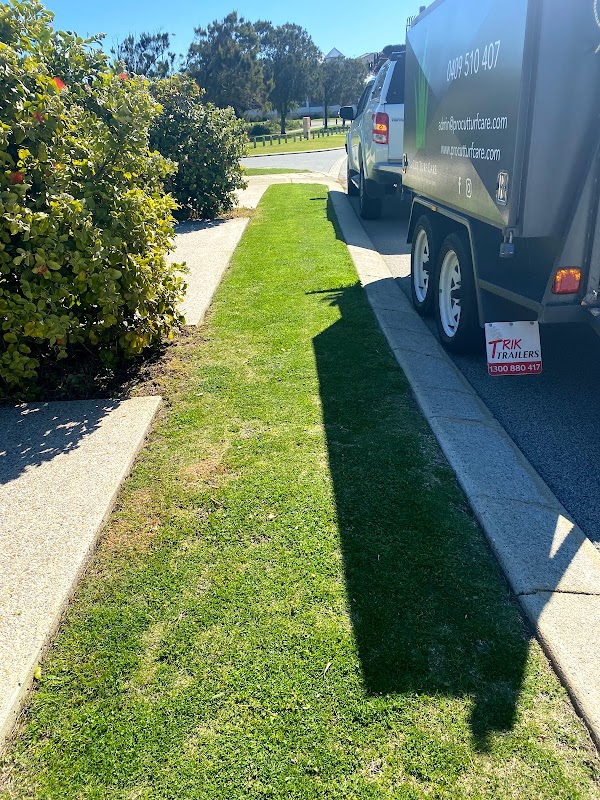 Pro Cut Turf Care project 6