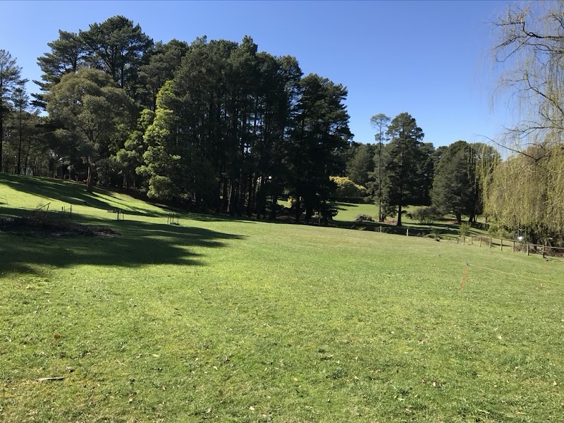 Pro Cut Turf Care project 9