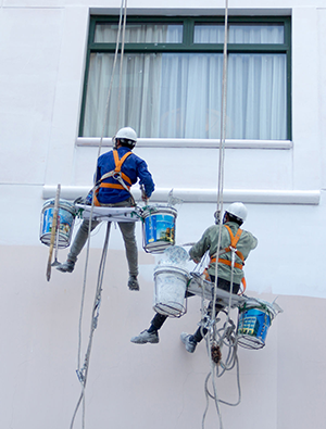 Pro Finish Painters project 8