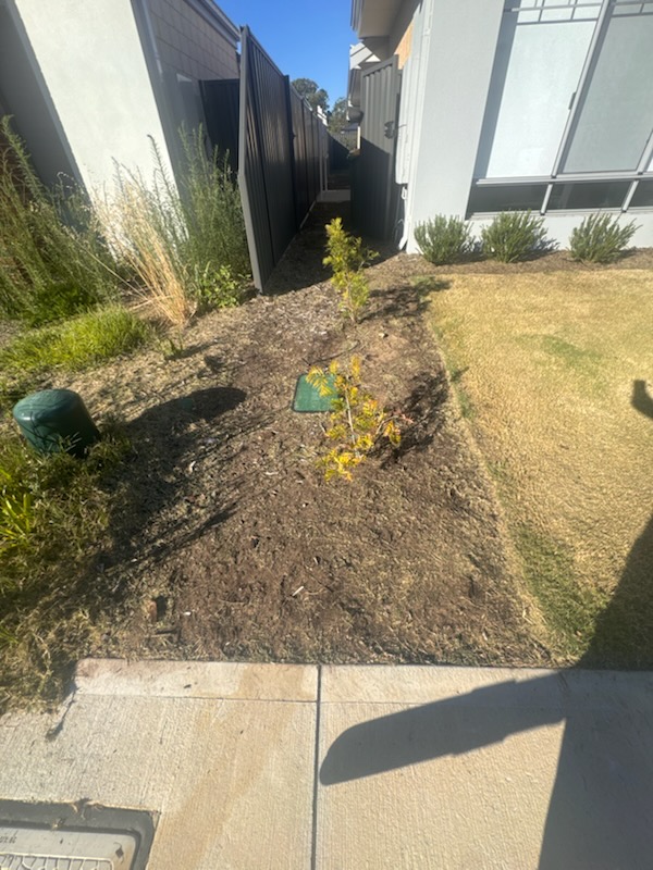 Pro Gardner Perth project 4