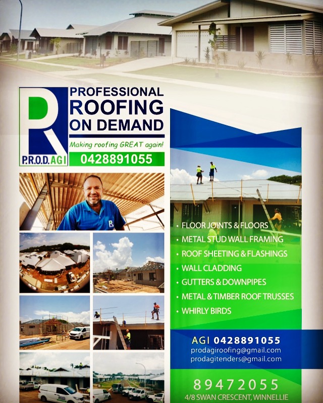 Professional Roofing On Demand P/L project 9