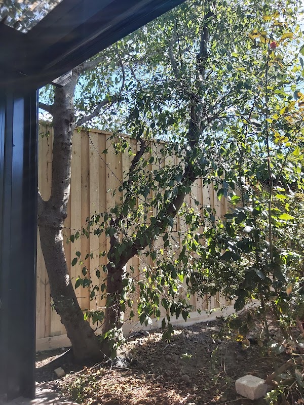 Progressive Fencing & Timber Co Pty Ltd project 6
