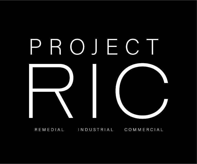 Project RIC work 2