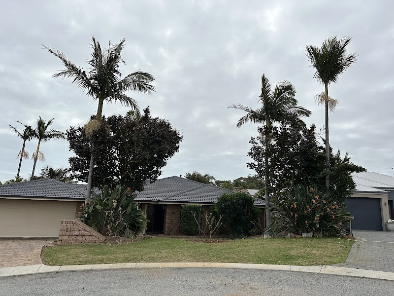 Real Tree Solutions work 3