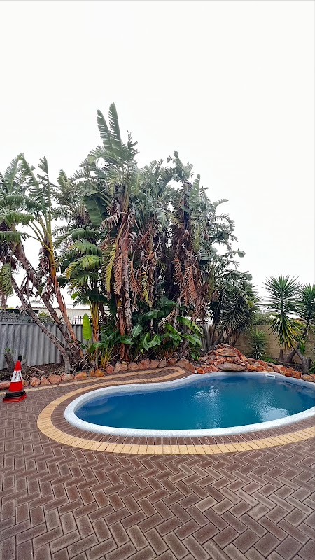 Real Tree Solutions project 7