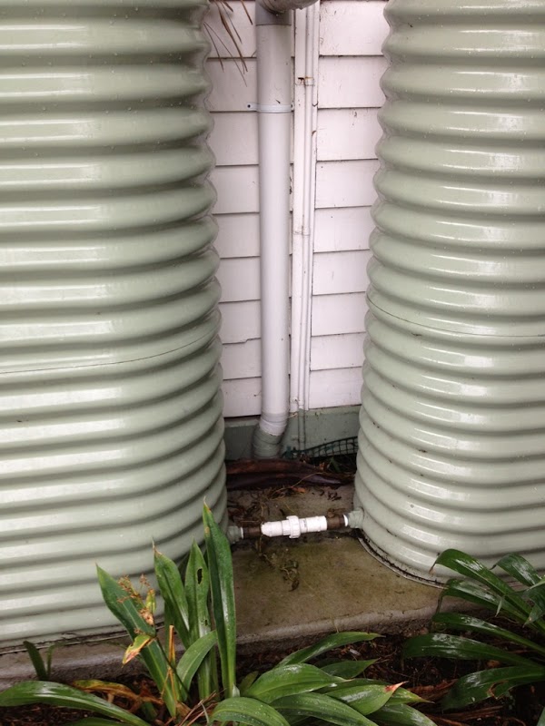 RedDogPlumbing project 10
