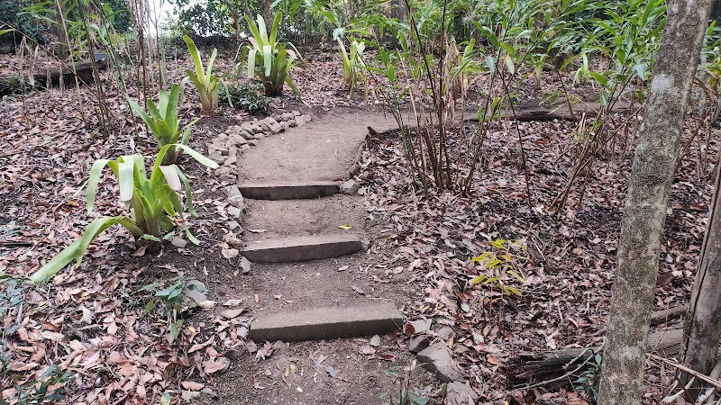 Refined Gardens and Landscaping work 1