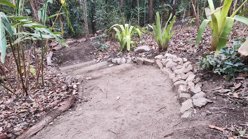 Refined Gardens and Landscaping work 4
