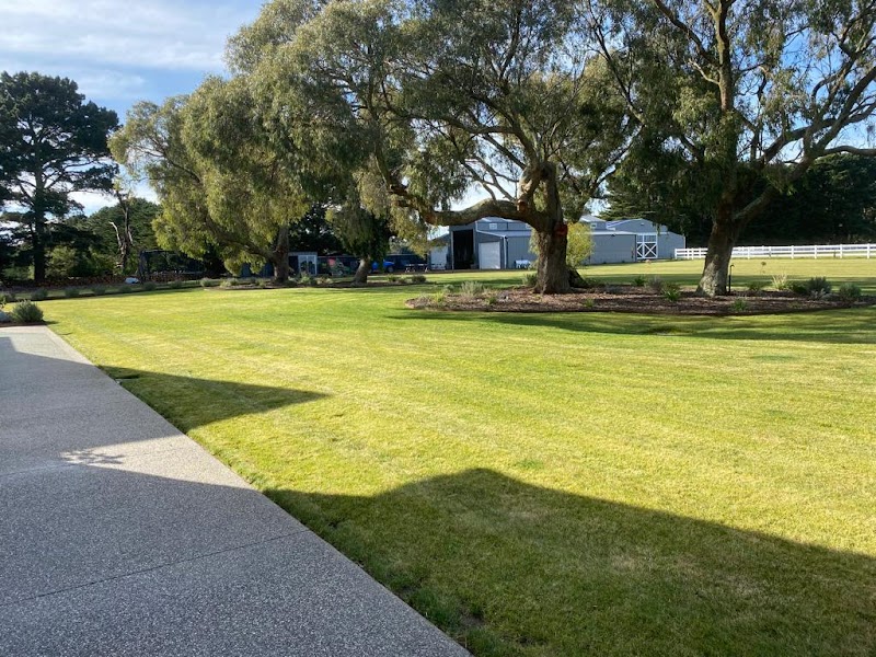 reghon mowing photo 3