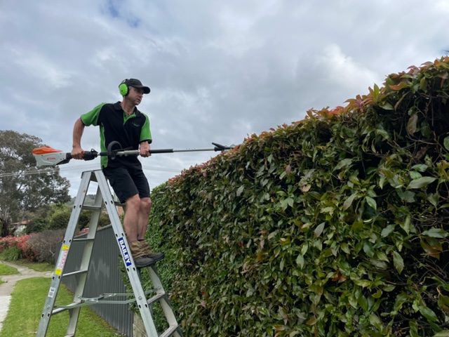 Reliable Garden Services ACT photo 1