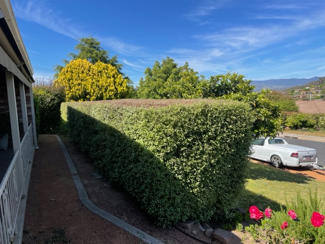 Reliable Garden Services ACT work 4