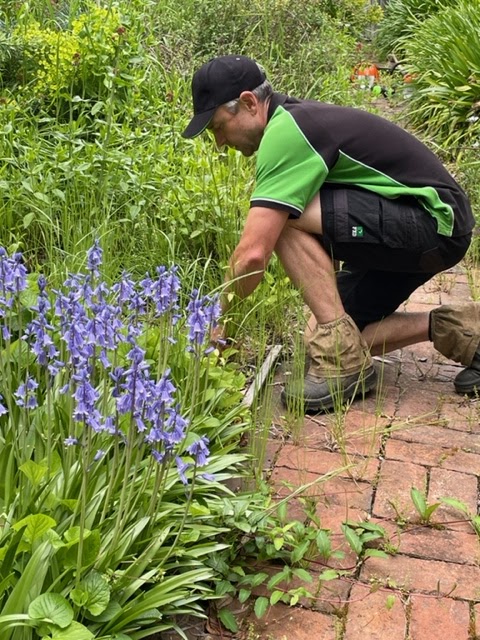 Reliable Garden Services ACT project 5