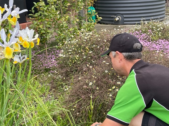 Reliable Garden Services ACT project 8