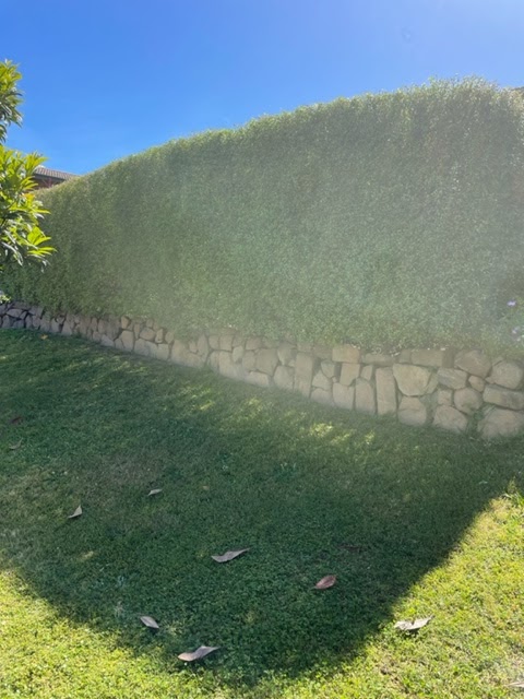 Reliable Garden Services ACT project 10