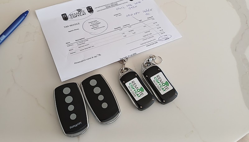 Remote Copycat work 2