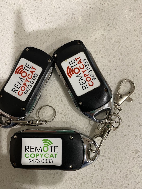 Remote Copycat work 3