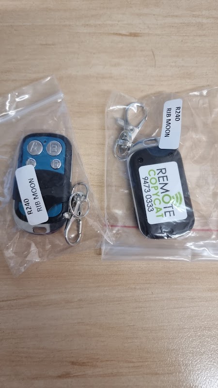 Remote Copycat project 5