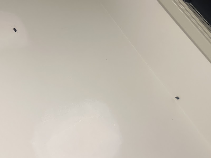 Rentokil Pest Control Perth project 10