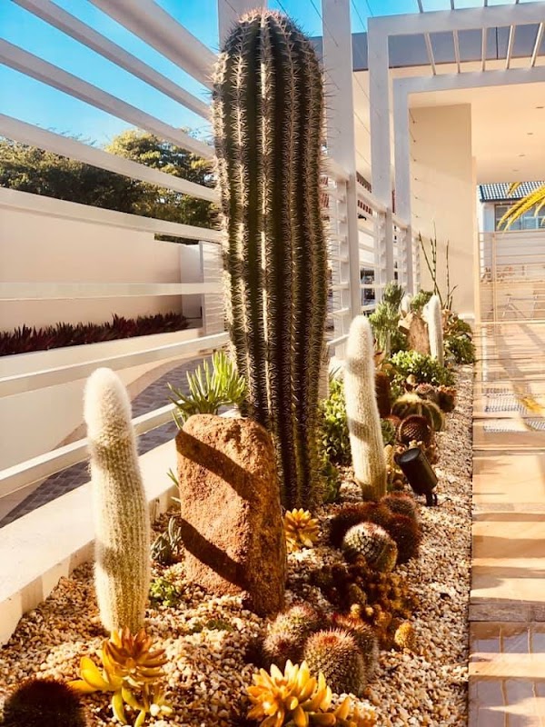 Reserve Landscape Architecture & Construction work 3