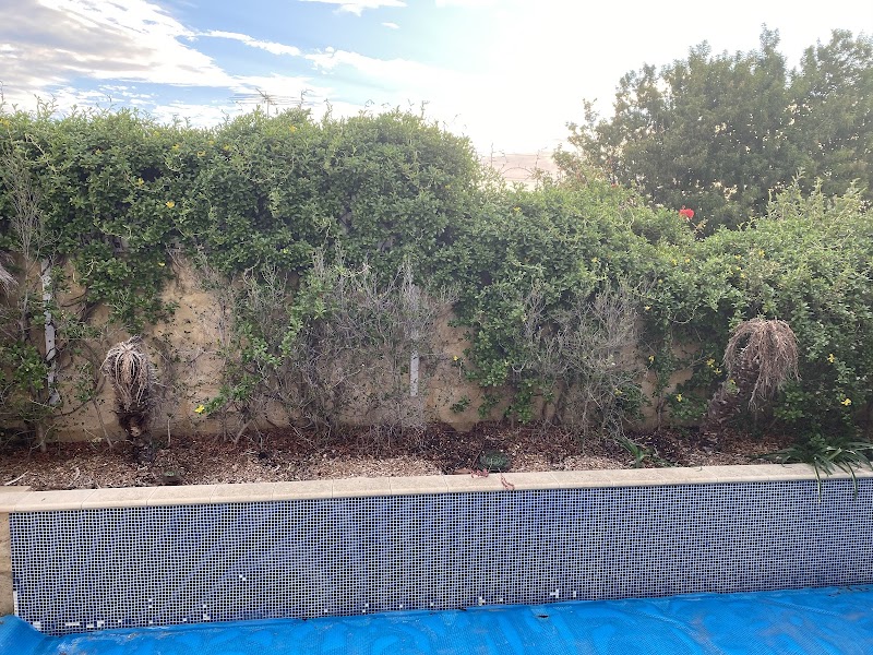 Reticulation & Landscaping Expert work 4