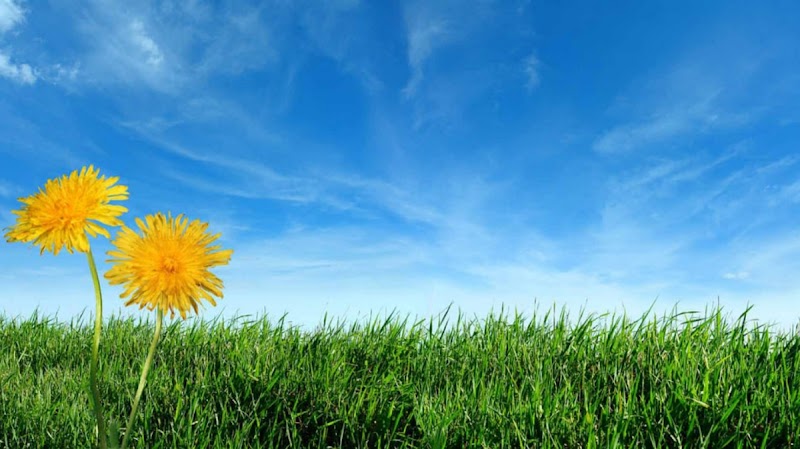 Right Air Darwin | Aircon Cleaner | Air conditioner cleaning and sanitising I IAQ solutions project 7