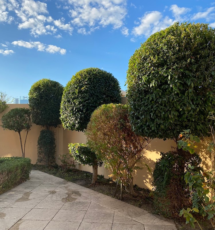 Rob's Total Lawn Service photo 2