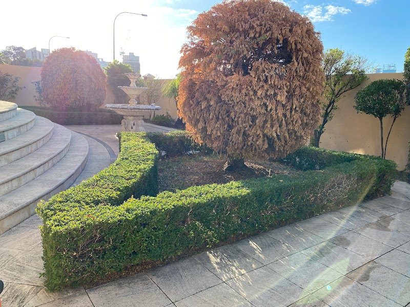 Rob's Total Lawn Service project 5