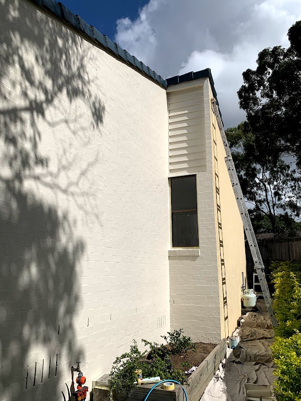 Robbo the house painter project 10