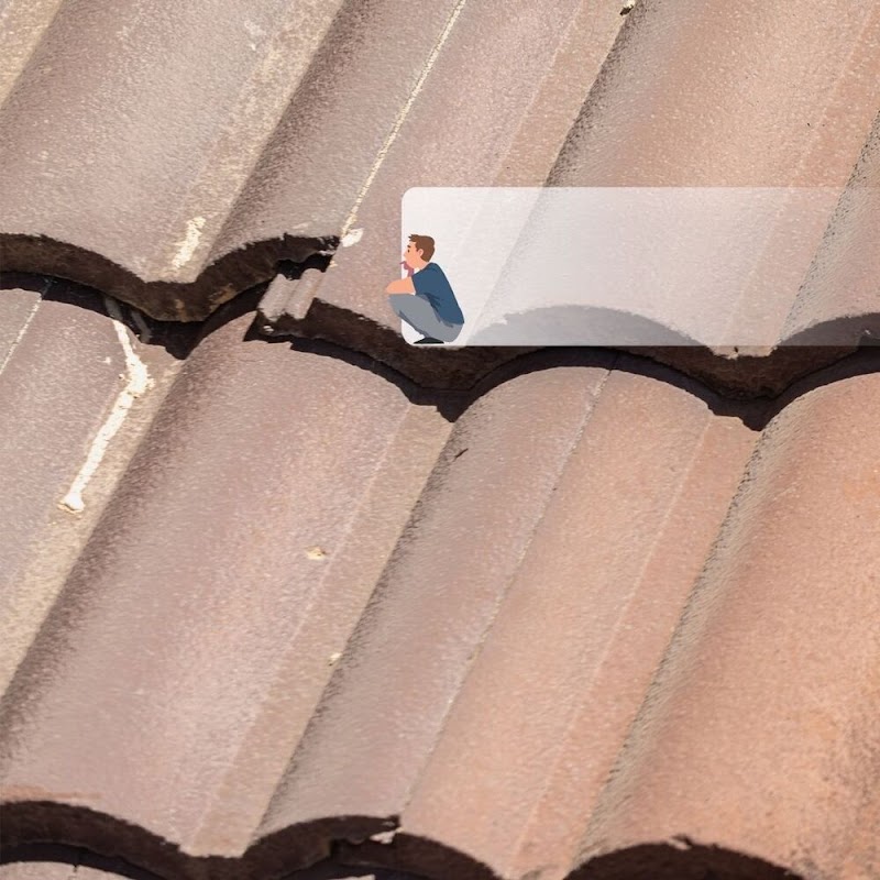 Rockingham Roof Restoration project 6