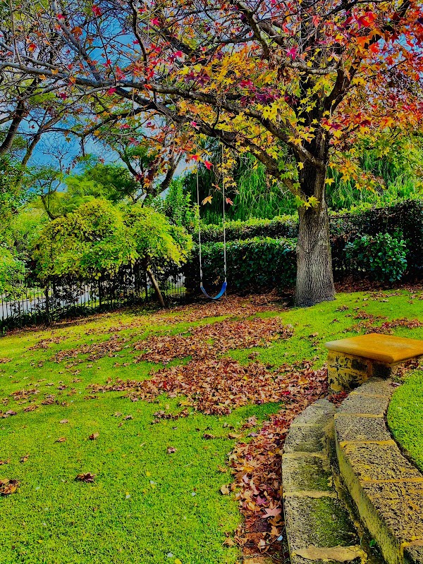 Roki Cleaning photo 2