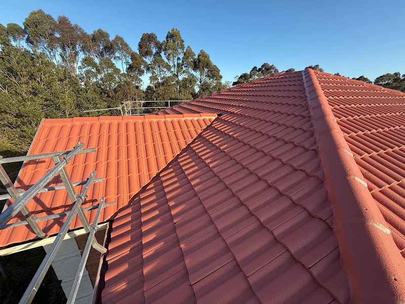 Roof Guard Roofing work 4