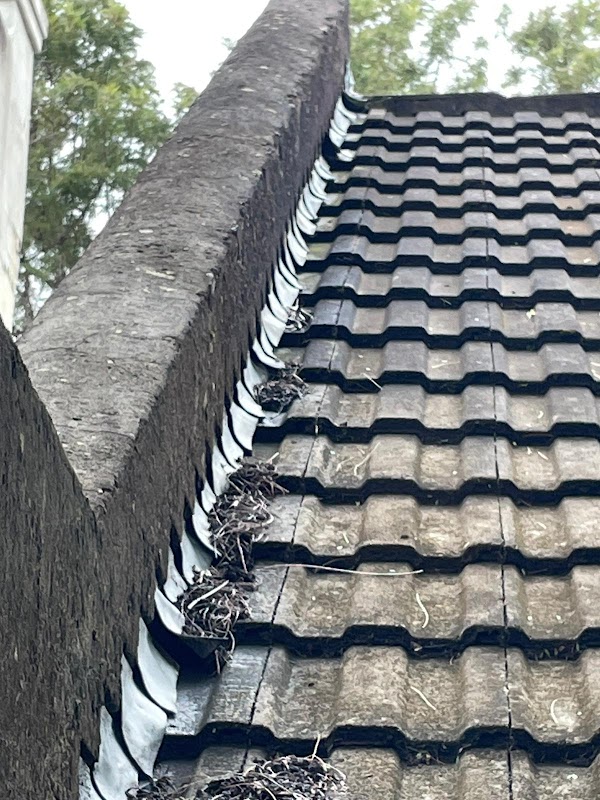 Roof Repairs Sydney PTY LTD project 10