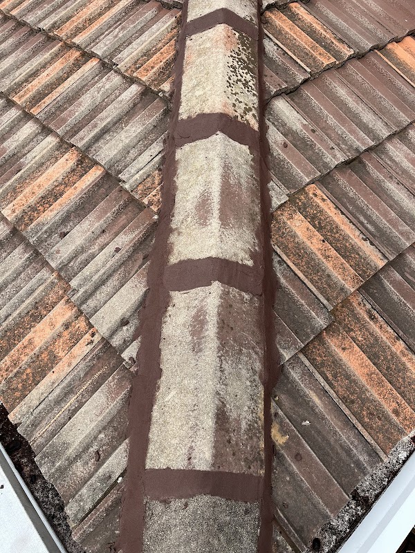 Roof Restoration Northern Suburbs project 6