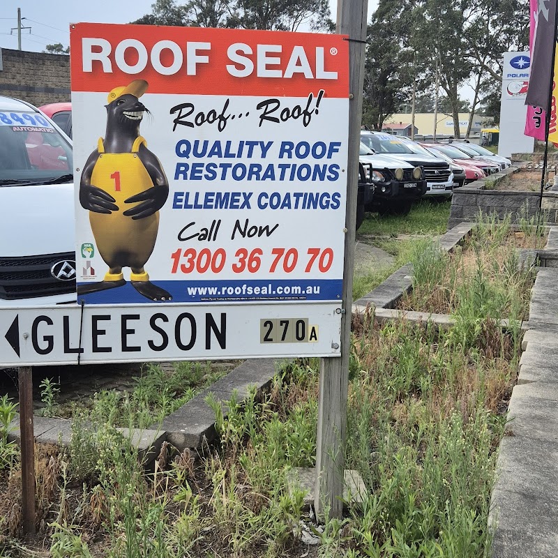 Roof Seal work 2
