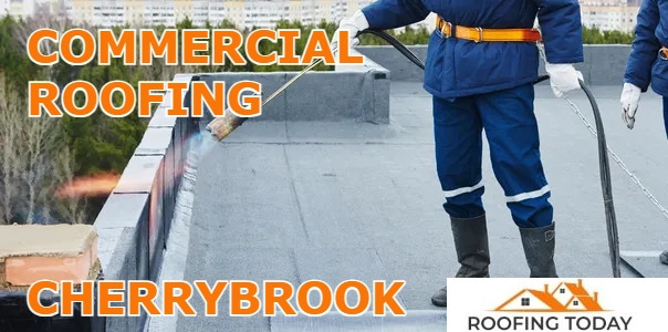 Roofing Today of Cherrybrook work 1