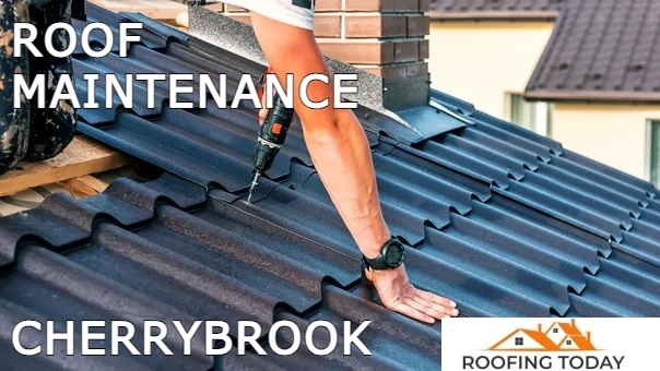 Roofing Today of Cherrybrook work 3