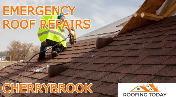 Roofing Today of Cherrybrook project 9