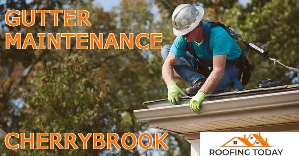 Roofing Today of Cherrybrook project 10