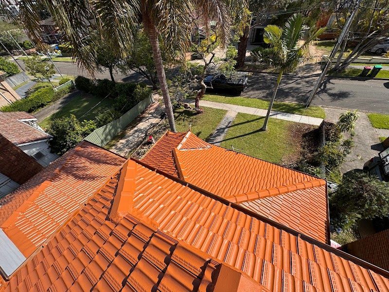 Rooftop Services project 9