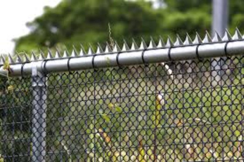 RYNO Fencing work 2